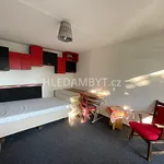 Rent 1 bedroom apartment of 33 m² in Capital City of Prague