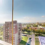 Pronajměte si 1 ložnic/e byt o rozloze 483 m² v Ostrava