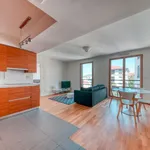 Rent 1 bedroom apartment of 40 m² in Lyon