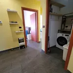 Rent 1 bedroom apartment of 80 m² in Savona