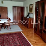 Rent 1 bedroom apartment of 70 m² in Zagreb