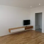 Rent 3 bedroom apartment of 70 m² in Jankovice u Uherského Hradiště