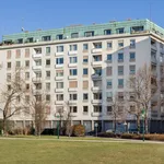 Rent 1 bedroom apartment of 32 m² in Wien