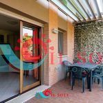 Rent 2 bedroom apartment of 80 m² in Pisa