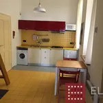 Pronajměte si 1 ložnic/e byt o rozloze 45 m² v Prague