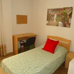 Rent a room in cordoba