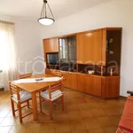 Rent 3 bedroom apartment of 87 m² in Torino