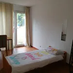 Miete 1 Schlafzimmer wohnung von 20 m² in Mainz