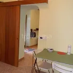 Rent 2 bedroom apartment of 60 m² in Orbetello