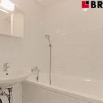 Pronajměte si 2 ložnic/e byt o rozloze 45 m² v Brno