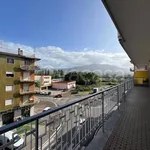 Rent 1 bedroom apartment of 15 m² in Cassino