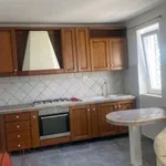 Rent 2 bedroom apartment of 55 m² in Velletri