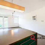 Rent 2 bedroom apartment of 67 m² in Prague