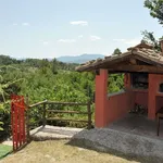 Rent 10 bedroom house of 150 m² in Villa Collemandina