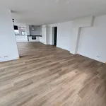 Rent 3 bedroom apartment of 109 m² in Stadsdriehoek