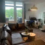 Miete 3 Schlafzimmer wohnung von 56 m² in Essen