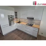 Rent 3 bedroom apartment in Praha 4