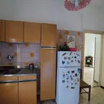 Rent 3 bedroom apartment of 92 m² in Roma