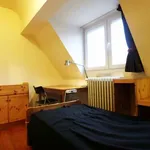 Louez une chambre de 300 m² à brussels