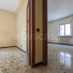 Rent 3 bedroom apartment of 90 m² in Pavia