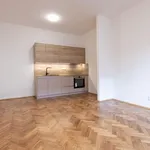 Rent 2 bedroom apartment in Prague