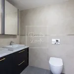 Rent 3 bedroom apartment of 91 m² in Prague