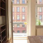 Rent 4 bedroom apartment of 80 m² in Berlin