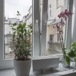 Rent 1 bedroom apartment in krakow