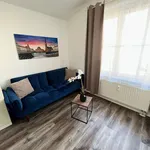 Rent 1 bedroom apartment of 40 m² in Chemnitz