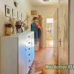 Rent 3 bedroom apartment in Praha 6