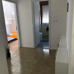 Rent 5 bedroom apartment in Trento