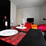 Rent 1 bedroom apartment of 18 m² in Zürich