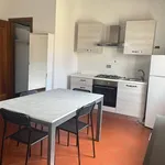 Rent 1 bedroom apartment of 35 m² in Vicenza