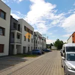 Rent 2 bedroom apartment of 52 m² in Legnica