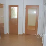 Rent 4 bedroom apartment of 110 m² in Praha