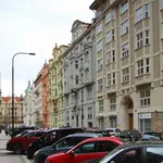 Rent 3 bedroom apartment of 160 m² in Prague