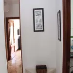 Alquilo 4 dormitorio apartamento de 79 m² en Madrid