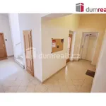 Rent 1 bedroom apartment in Capital City of Prague