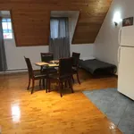  appartement avec 1 chambre(s) en location à Montreal