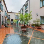 Rent 1 bedroom apartment in florence