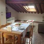 Rent 1 bedroom apartment of 50 m² in Bassano del Grappa