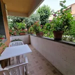 Rent 6 bedroom apartment of 110 m² in Seravezza