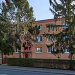 Rent 3 bedroom apartment of 53 m² in Beroun