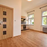 Rent 2 bedroom apartment of 33 m² in Capital City of Prague