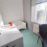 Rent 1 bedroom apartment in Ostrava