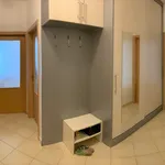 Rent 3 bedroom apartment in Prague