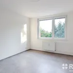 Rent 1 bedroom apartment in Brno