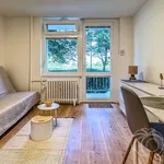 Rent 1 bedroom apartment in Capital City of Prague