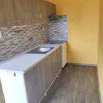 Rent 1 bedroom apartment in Meziboří