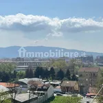 Rent 3 bedroom apartment of 94 m² in Turin